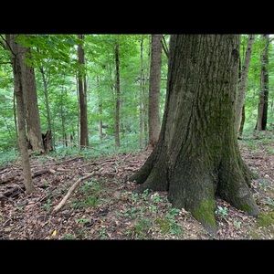 Meet your Posher, Edward